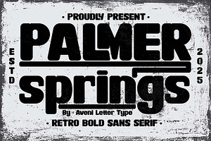 Palmer Springs | Retro Sans Serif