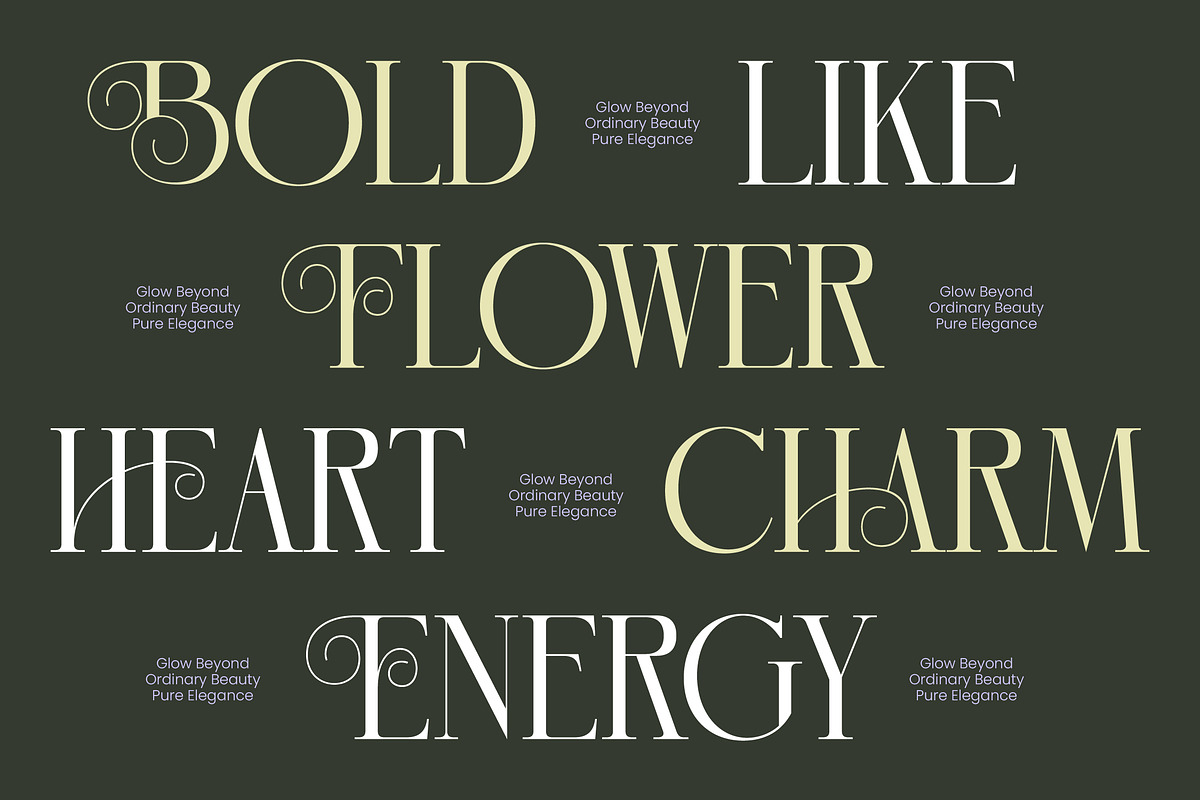 Hidden Midnight Modern Elegant Serif, a Serif Font by timelesstype.co (Photo 2 of 10)