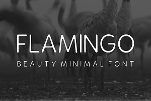 Flamingo, a Sans Serif Font by Fourteen Letter