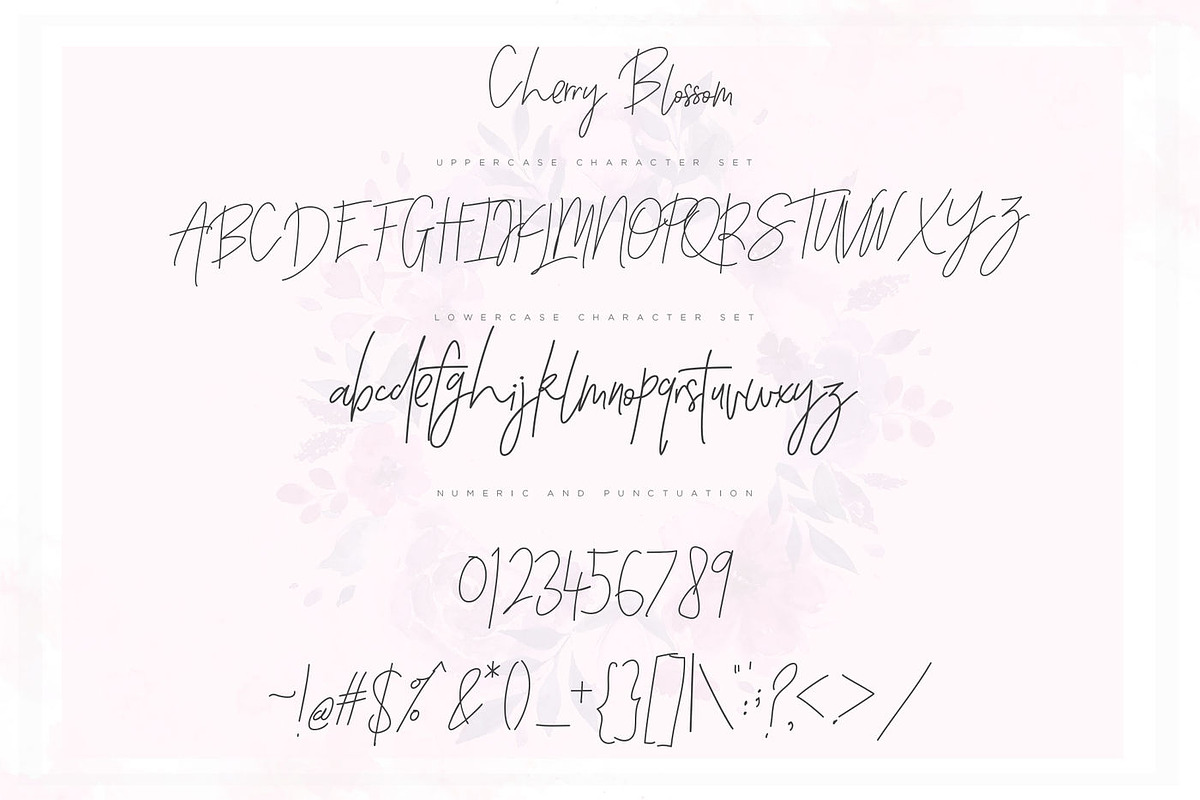 Wonderfull Font Collection, a Script Font by Chocotype Std (Photo 21 of 51)