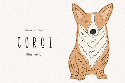 Corgi dog clipart illustration