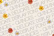 Quinces – A Delicate Display Serif, a Serif Font by Local Desk Designstudio (Thumbnail 1 of 11)