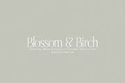SUNLINE - Condensed & Elegant Serif, a Serif Font by Misha Sova (Thumbnail 2 of 8)