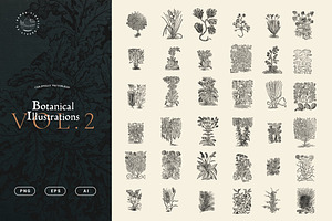 Botanical Illustrations Vol. 2