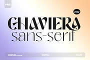 Chaviera Pro Family, a Sans Serif Font by INKSUN™ (Thumbnail 1 of 12)
