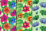 Rose, Hibiscus, Lotus: floral Bundle, a Texture Illustration by Daria Volyanskaya (Thumbnail 4 of 8)