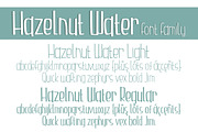 Hazelnut Water Font Family, a Font by Brittney Murphy Design (Thumbnail 2 of 3)