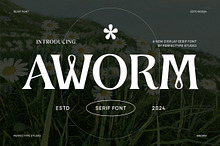 Aworm Elegant Serif Font Typeface