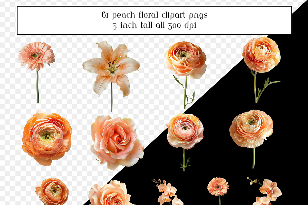 Peach Floral Clipart, Peach Flowers, an Object Graphic by AllTheKewtClipart (Photo 3 of 5)