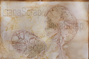 36 ECO Dyed paper - Forest Floor, a Texture Graphic by LianaScrap (Thumbnail 7 of 19)