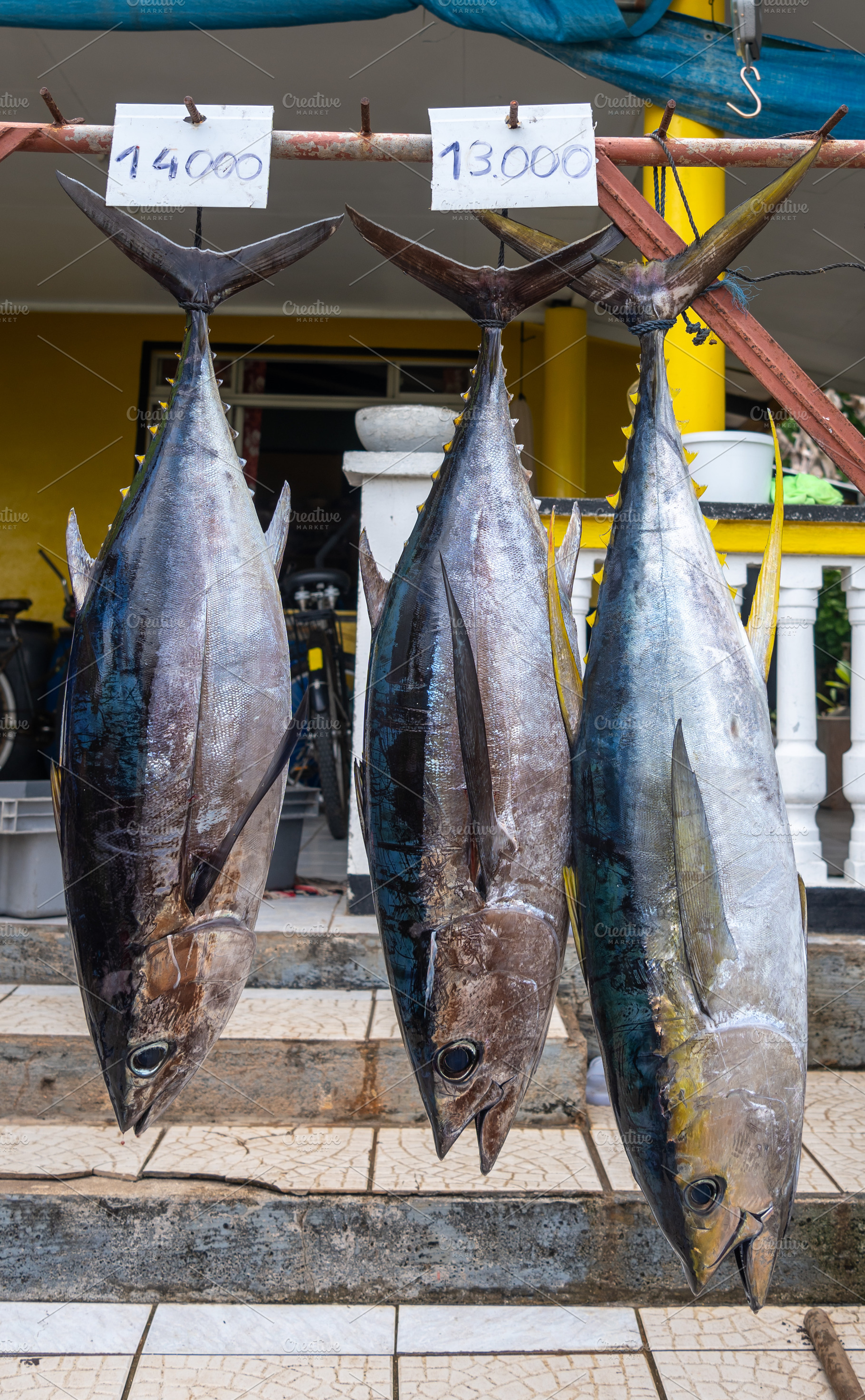 Fresh yellowfin tuna for sale on Maupiti island, French Polynesi, a Photo by GoodGoods