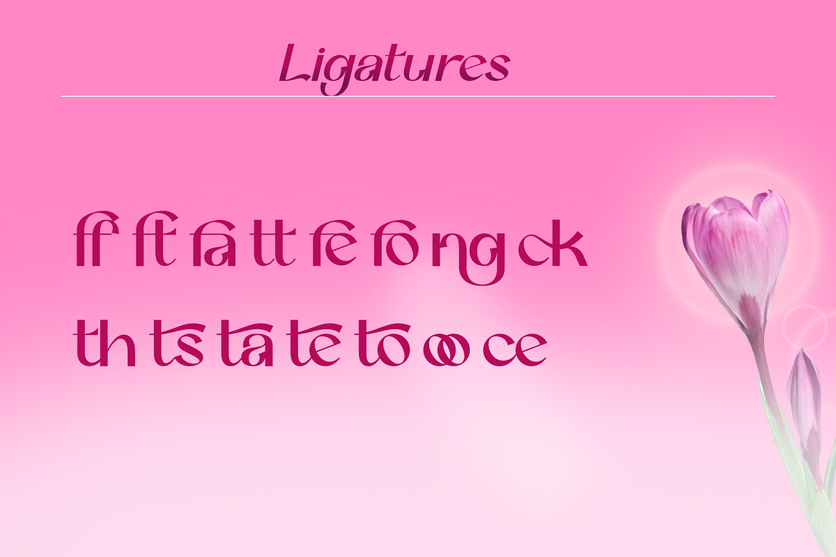 Betshaid - Stylish Display Font, a Sans Serif Font by Favo Write (Photo 9 of 12)