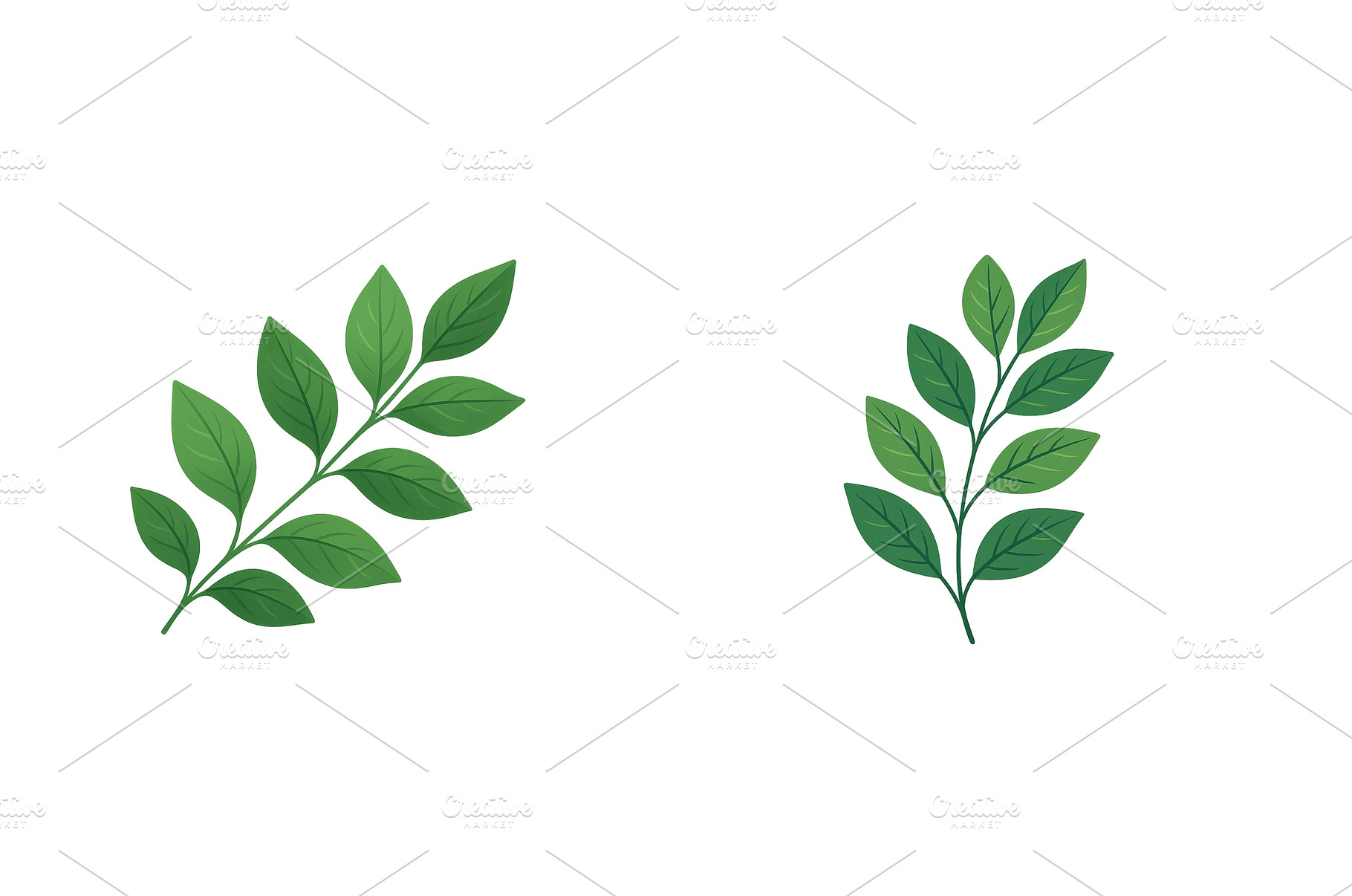Two sprigs of green leaves, a Nature Photo by ZinetroN