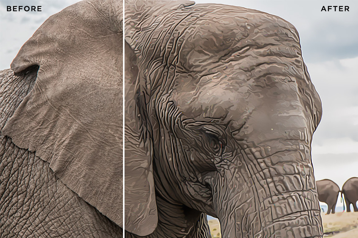 Photo Painter Photoshop Actions 1, an Action Add-On by Design Panoply (Photo 6 of 7)