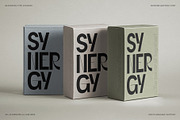 SLTF Refugio - Modern Grotesk Font, a Sans Serif Font by SilverStag Type Foundry (Thumbnail 17 of 30)