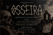 Osseira - Anatomical Display Font, a Handwritten Font by idealistudio (Thumbnail 1 of 5)