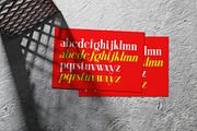 Aleesya Serif Font Family, a Serif Font by Ryul Davidson (Thumbnail 7 of 15)