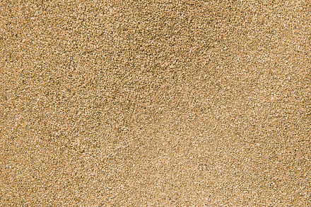 Beige light sand