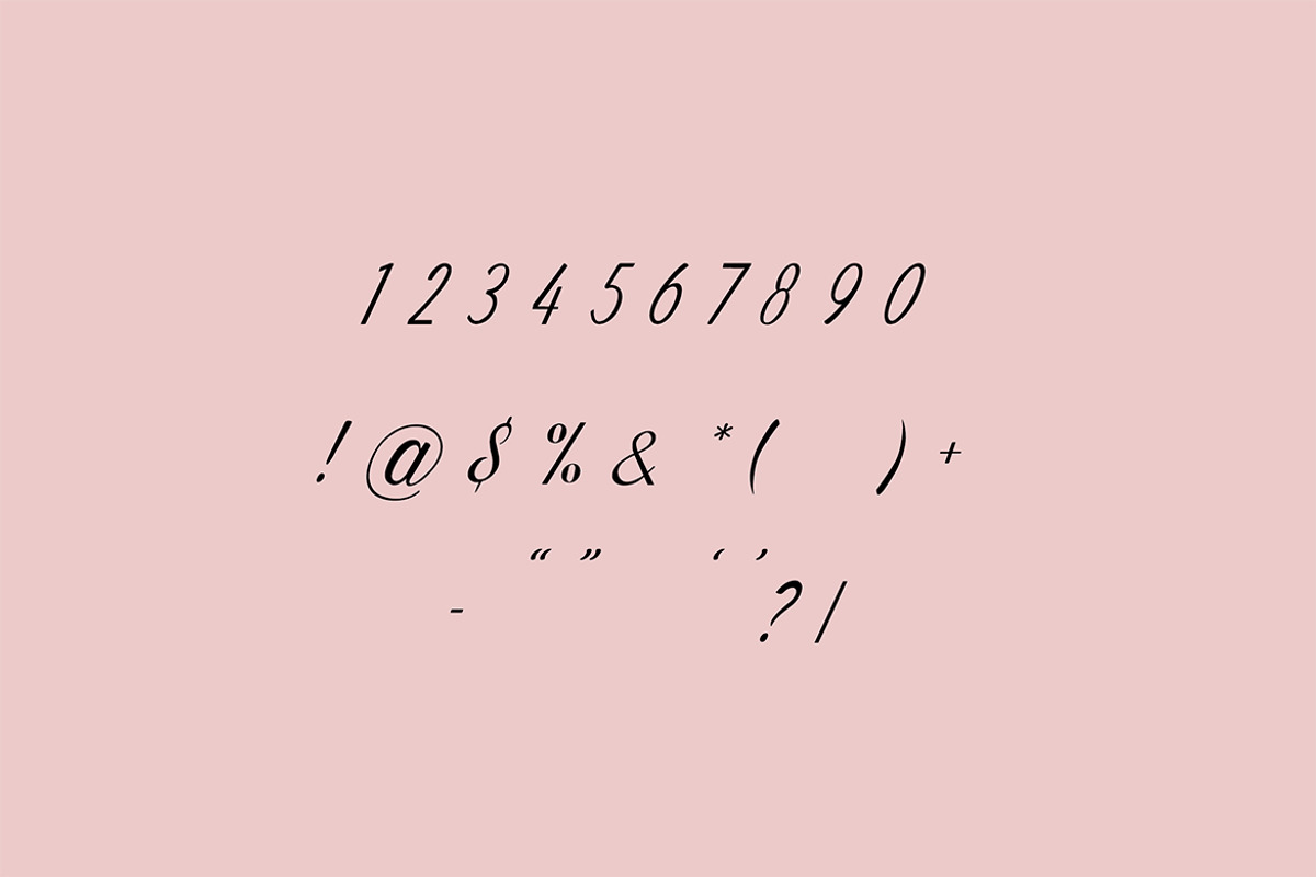 Promica Romance Modern Signature, a Handwritten Font by UICreative (Photo 10 of 13)