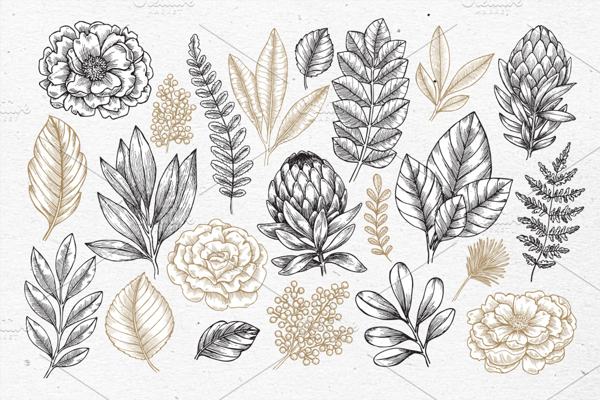 Rare plant collection, a Decorative Illustration by adehoidar (Photo 2 of 7)