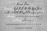 Nerine Deux, a Script Font by STUDIOWAYS (Thumbnail 4 of 4)