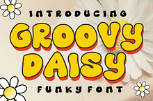 Groovy Daisy