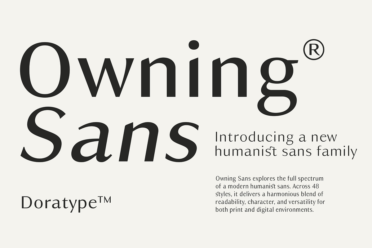 Owning Sans, a Sans Serif Font by Dora Typefoundry (Photo 1 of 10)