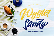 Wynter Sandy - Bold Script Font, a Script Font by StringLabs (Thumbnail 1 of 12)