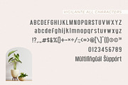 Vigilante | A Modern Classy Font Duo, a Sans Serif Font by Andrimada Creative (Thumbnail 7 of 10)