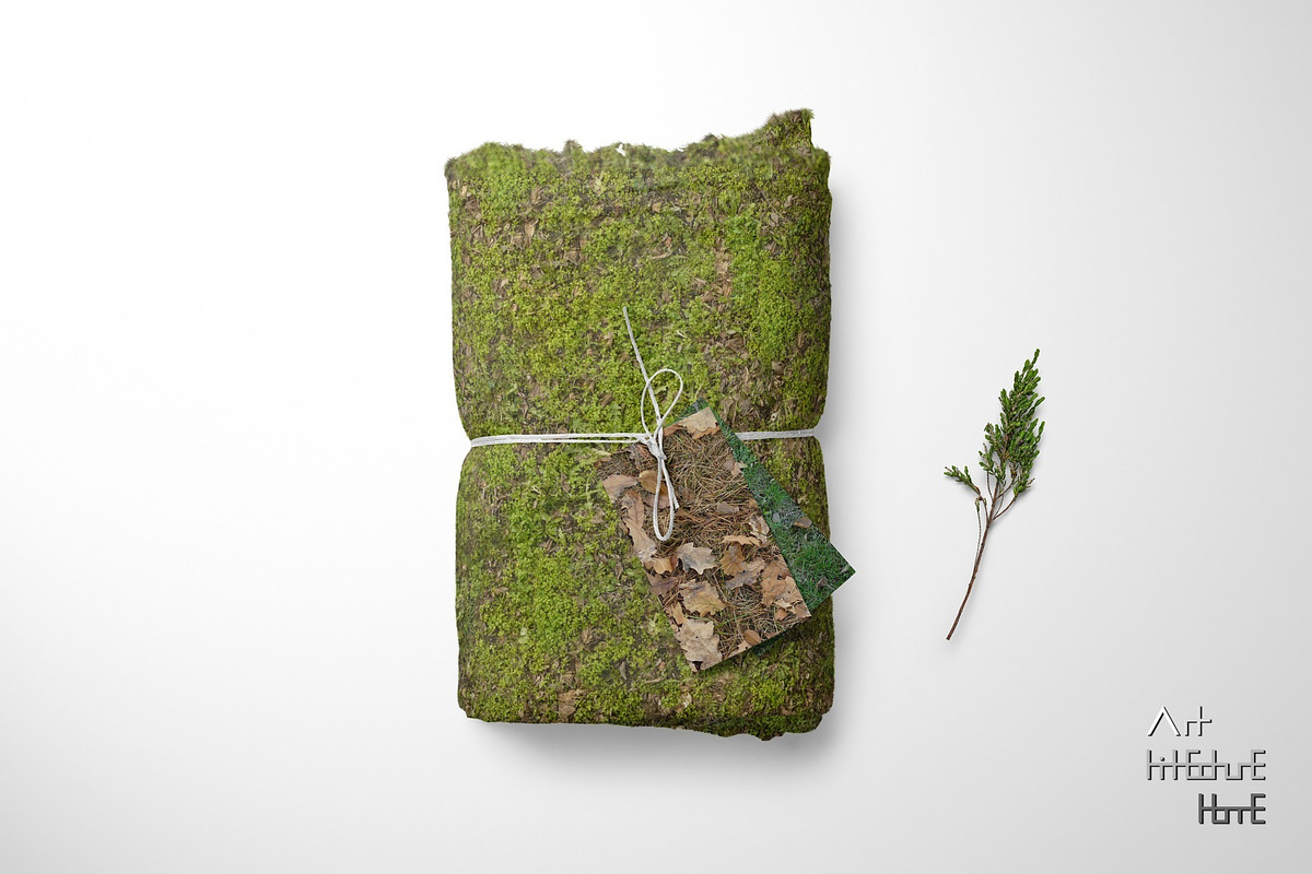 Seamless Ground Textures-Autumn Moss, a Texture Graphic by Arthitecture Home (Photo 7 of 11)