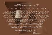 Palmeras Sherffy, a Script Font by operatype.co (Thumbnail 14 of 15)
