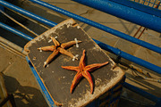 Lima, Peru – Vibrant Editorial Pack, a Photo by This For There (Thumbnail 14 of 14)