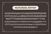Kelaskin – Classic Serif font, a Serif Font by productype1 (Thumbnail 10 of 13)