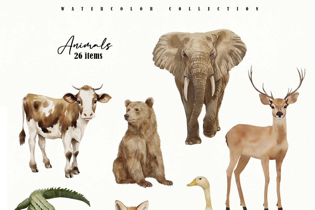 Animal Alphabet Flashcards, an Education Illustration by Sunshine Art (Photo 7 of 11)