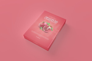 Software / Product Box Mockup