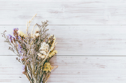 Dried flower on wooden background stock photo containing autumn and back, a Nature Photo by Art_Photo