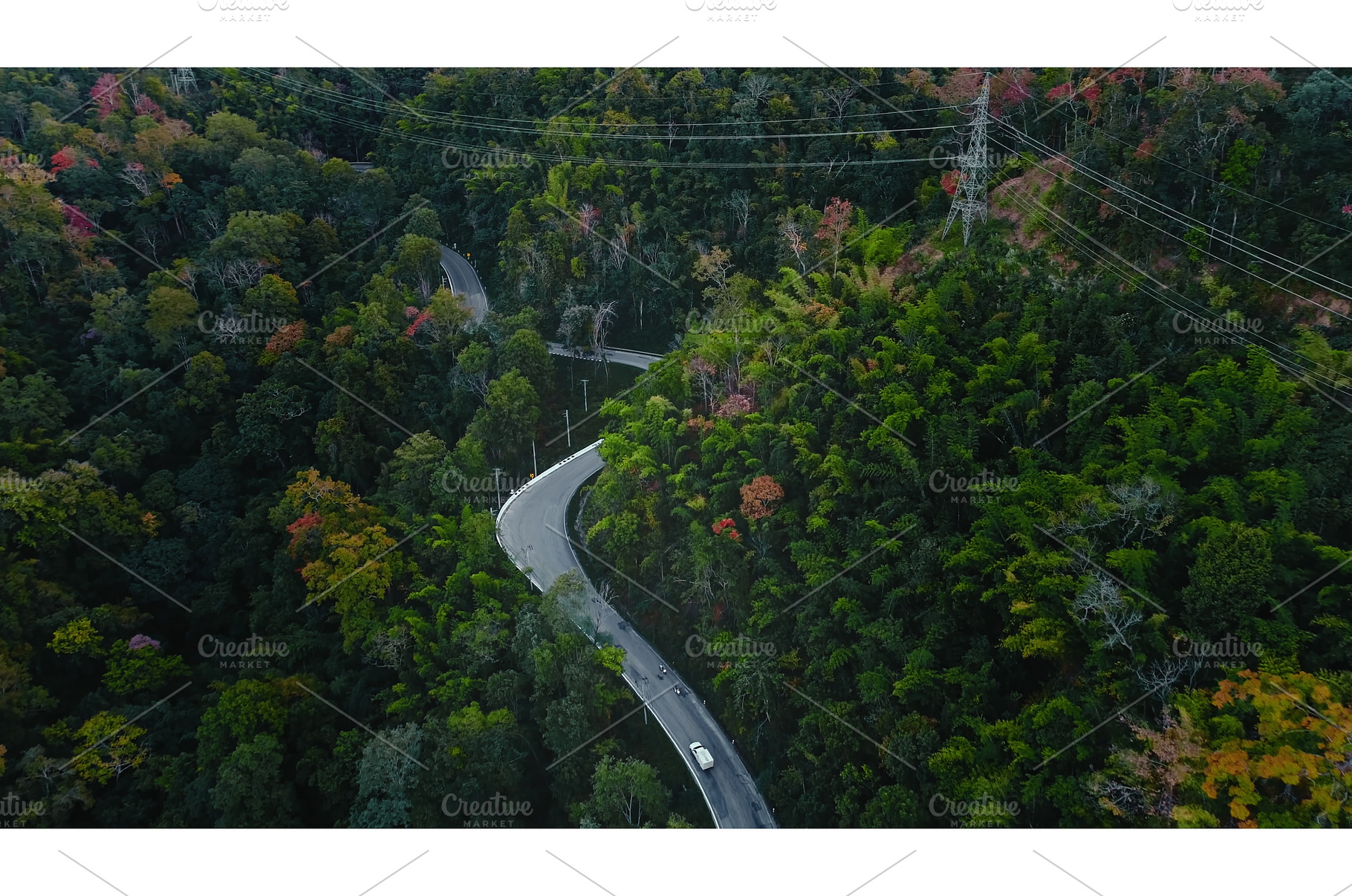 Winding road crossing lush green, a Nature Photo by Goinyk