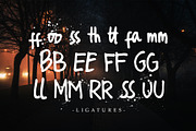 Street Dreams Brush Font, a Script Font by VitaminRGB (Thumbnail 4 of 7)
