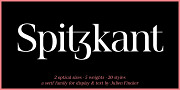 Spitzkant, a Serif Font by Julien Fincker (Thumbnail 1 of 10)