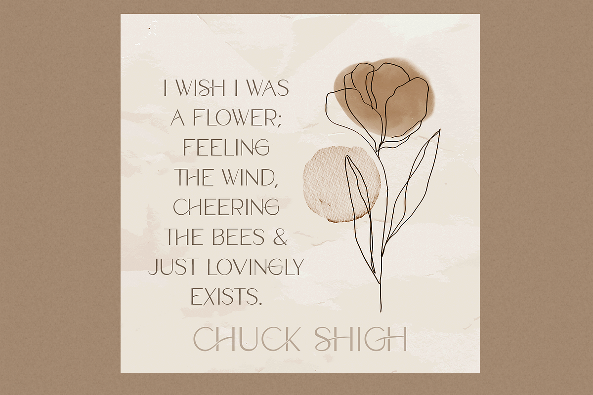 Charleth Angular Modern Sans Display, a Sans Serif Font by Cloverons (Photo 4 of 14)