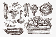 Vegetables. Hand drawn collection., a Food Illustration by natadanko (Thumbnail 3 of 7)