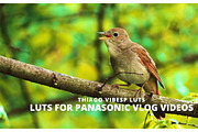 Cinematic Panasonic V-Log LUTs, a Preset Add-On by Creative House (Thumbnail 4 of 4)
