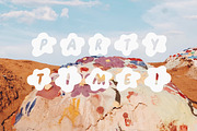 FLOWER PARTY | groovy flower font, a Font by Loryn Ipsum (Thumbnail 8 of 11)