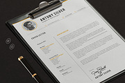 The Resume, a Resume Template by sz81 (Thumbnail 3 of 5)