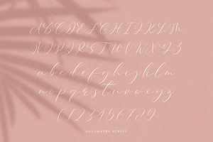 NEW Soulmates Script Font