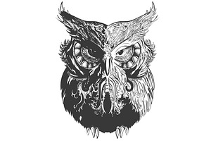 Owl Shadowesd Black