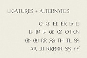 Cypress | A Ligature Sans, a Sans Serif Font by Jen Wagner Co (Thumbnail 8 of 8)