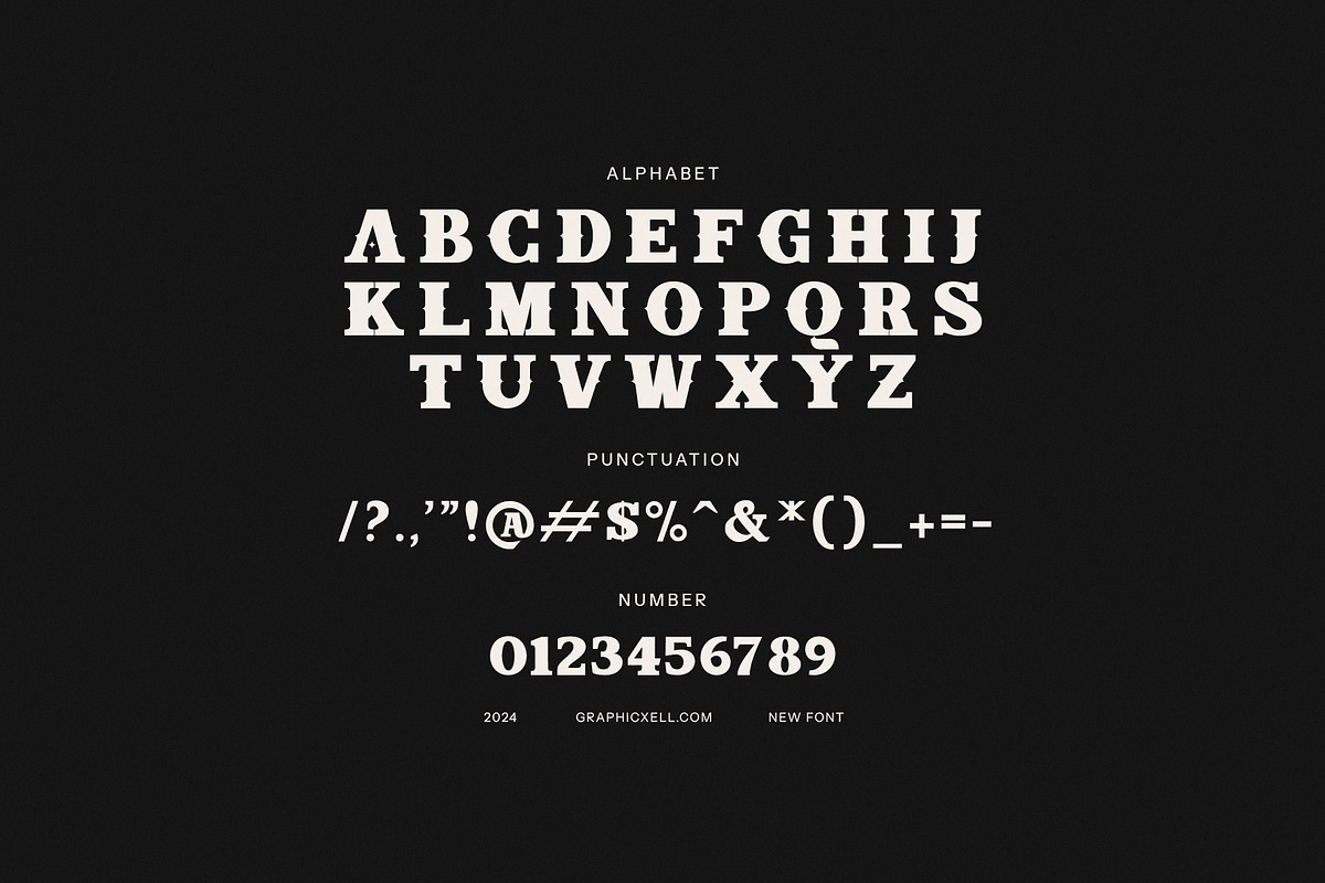 Black Friday Elegant Display Font, a Slab Serif Font by Graphicxell (Photo 8 of 8)