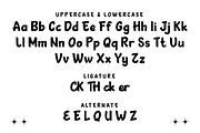 AFJUCK | Handwriting Display, a Sans Serif Font by twinstd (Thumbnail 8 of 11)