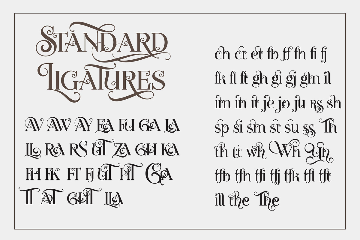 Novelia Pro, a Serif Font by joelmaker (Photo 20 of 21)